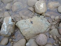 picture (58)